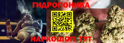 ГАЛЛЮЦИНОГЕННЫЕ ГРИБЫ Ставрополь
