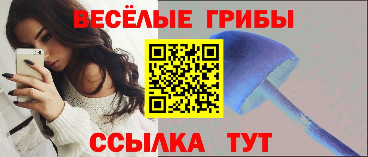Галлюциногенные грибы мицелий  Псилоцибиновые грибы ЛСД  Вход с VPN  Отрадное 